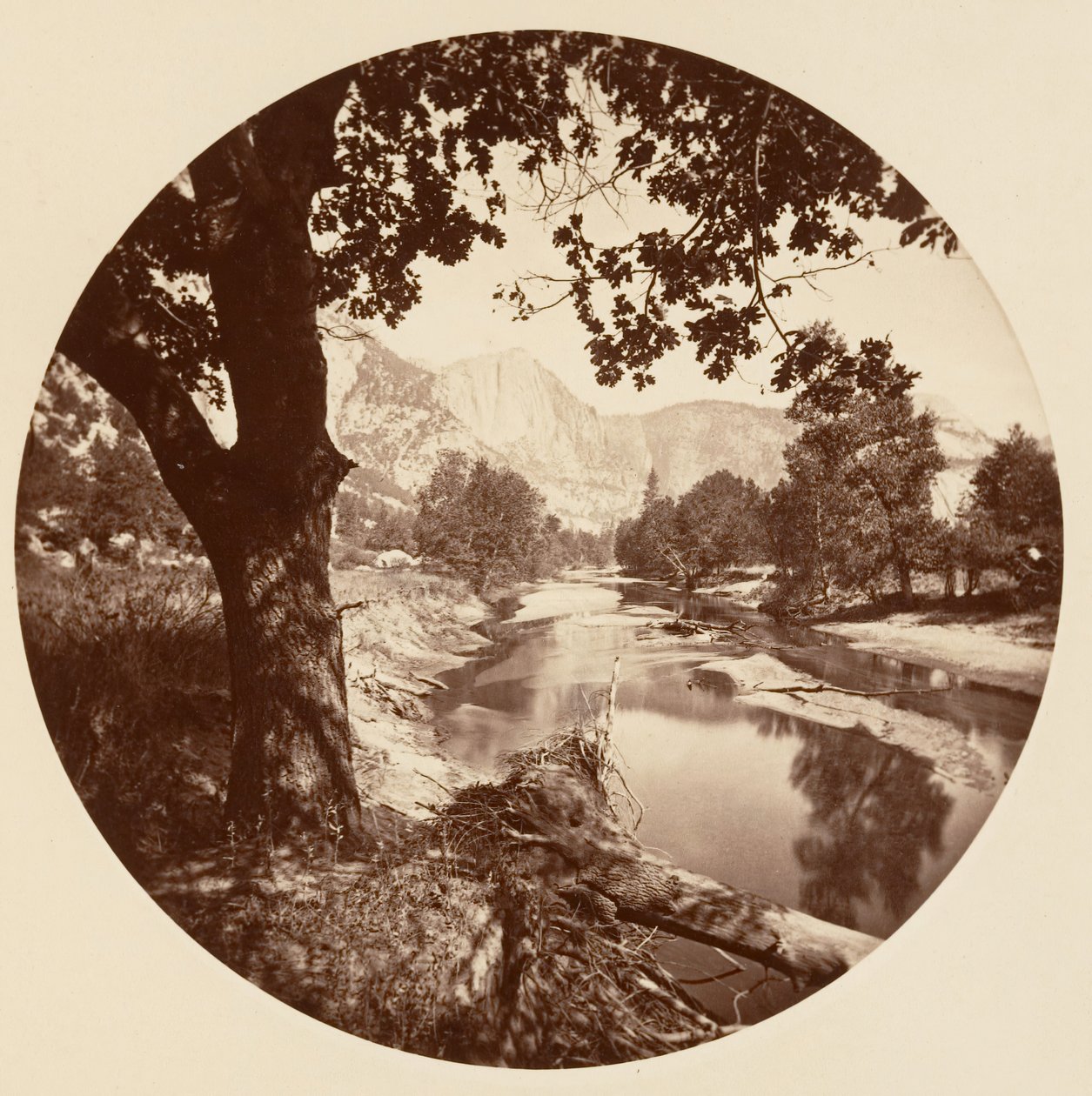 [Parque Nacional de Yosemite, Califórnia], c. 1878. de Carleton Emmons Watkins