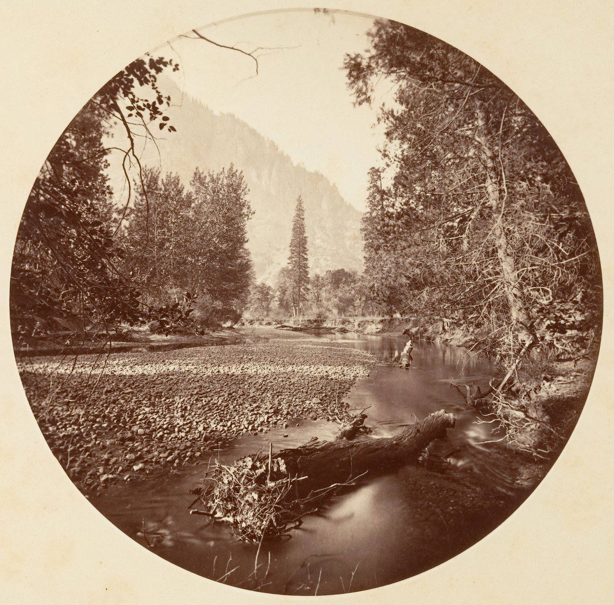 [Parque Nacional de Yosemite, Califórnia], c. 1878. de Carleton Emmons Watkins