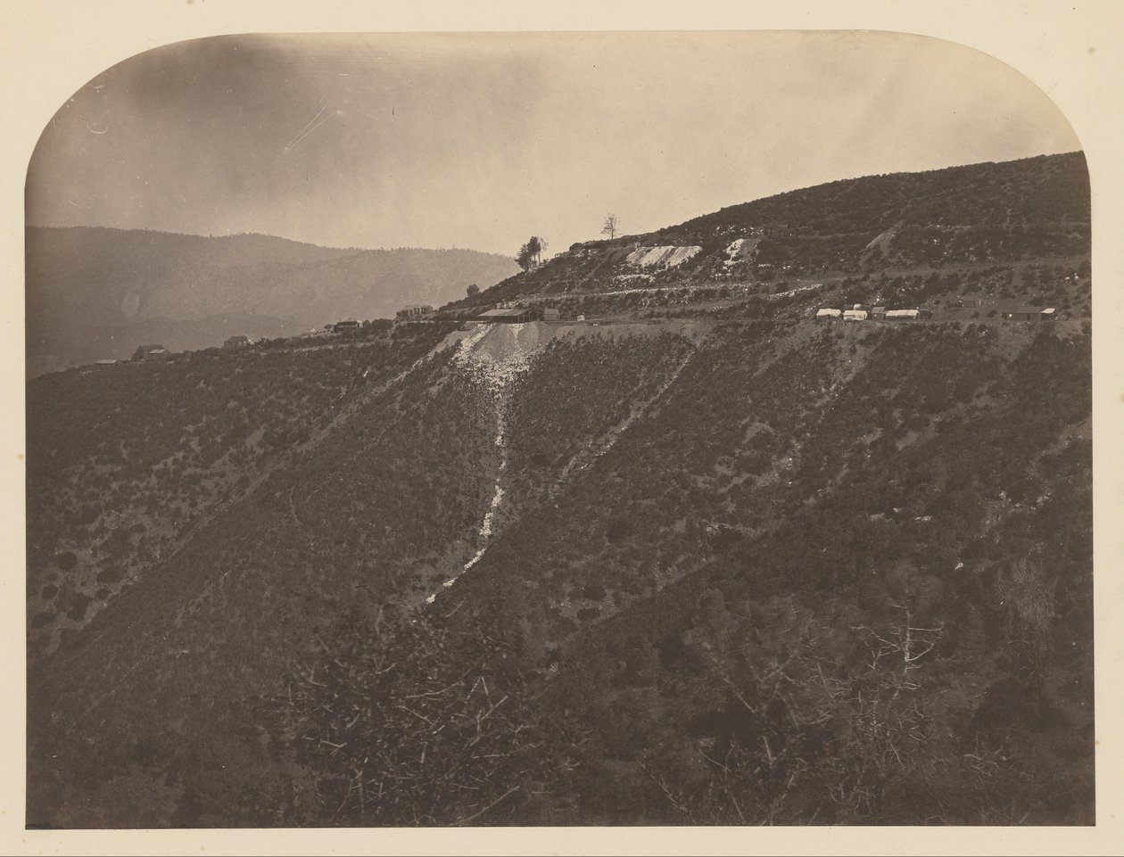 (Mina de pinheiro) de Carleton Watkins