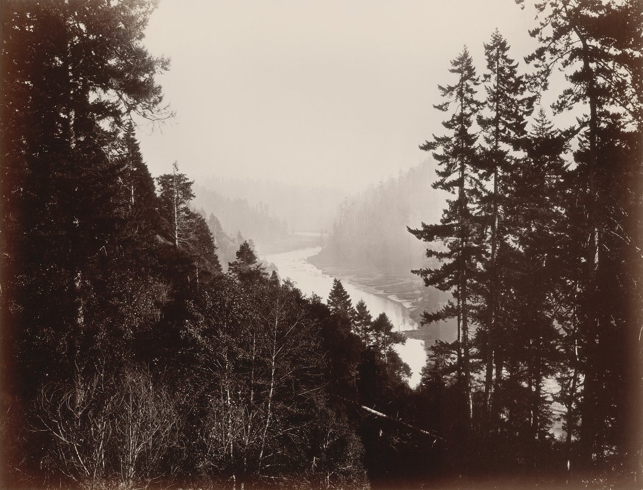 Big River, da Rancherie, Mendocino, Califórnia de Carleton Watkins