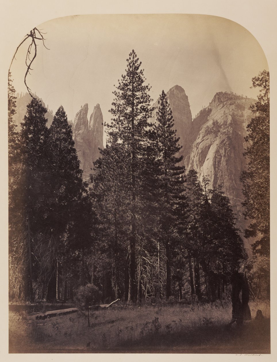 Torres da catedral - Yosemite de Carleton Watkins