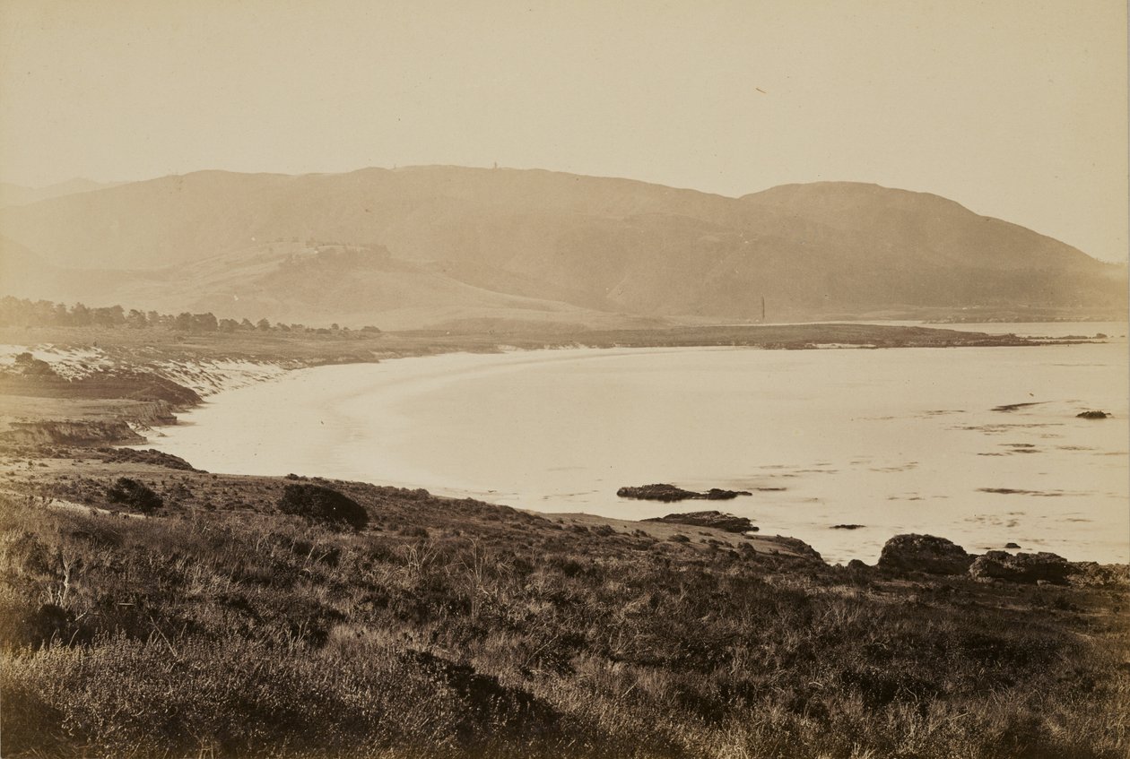 [Vista da costa, Monterey] de Carleton Watkins
