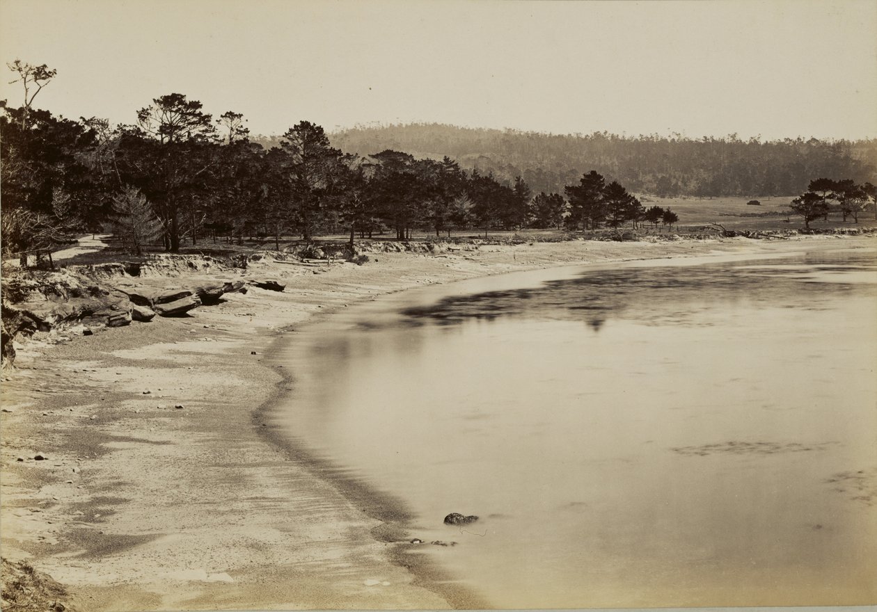 [Vista da costa perto de Monterey] de Carleton Watkins