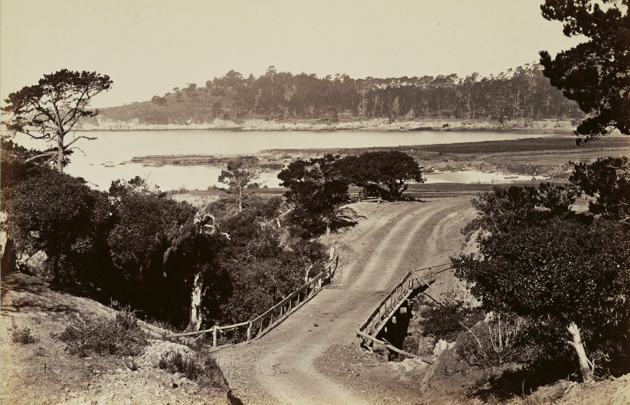 [Vista da costa perto de Monterey]. de Carleton Watkins