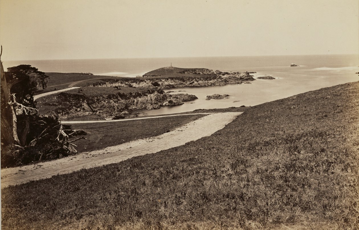 [Vista da costa perto de Monterey] de Carleton Watkins
