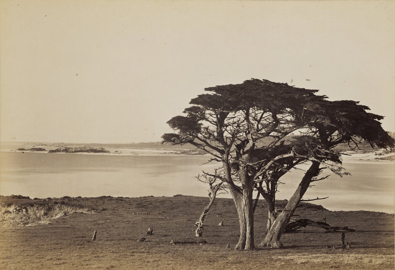 Vista da costa perto de Monterey de Carleton Watkins