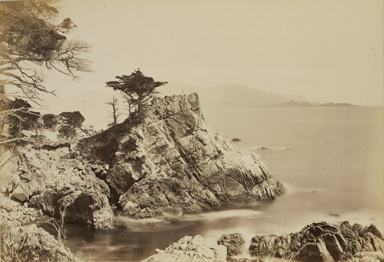 [Cypress Point] de Carleton Watkins