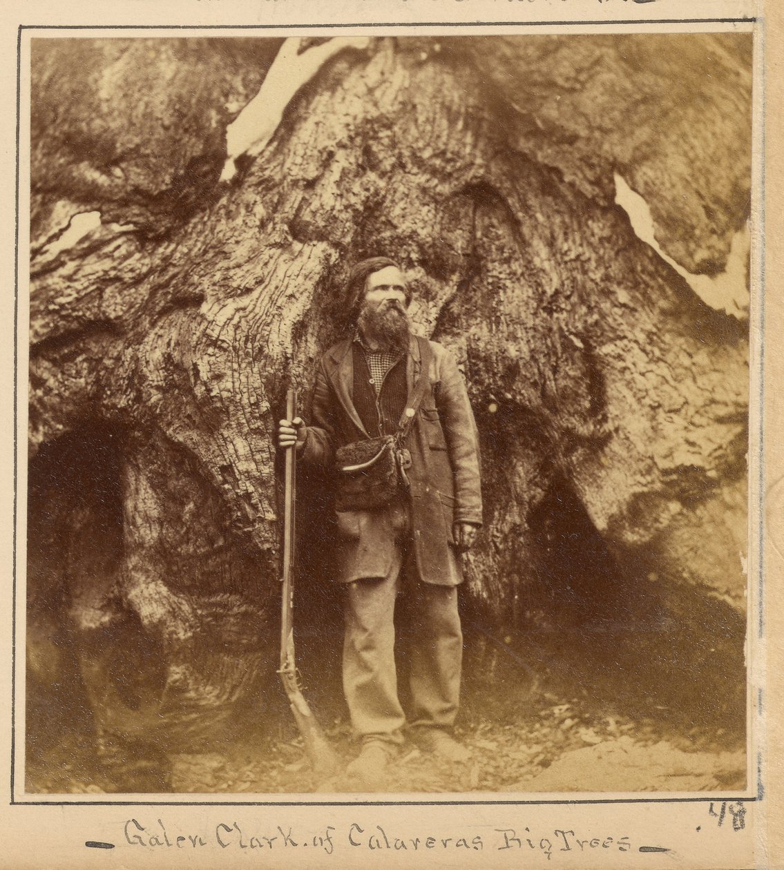 Galen Clark, Esq., Mariposa Grove, condado de Mariposa, Califórnia de Carleton Watkins