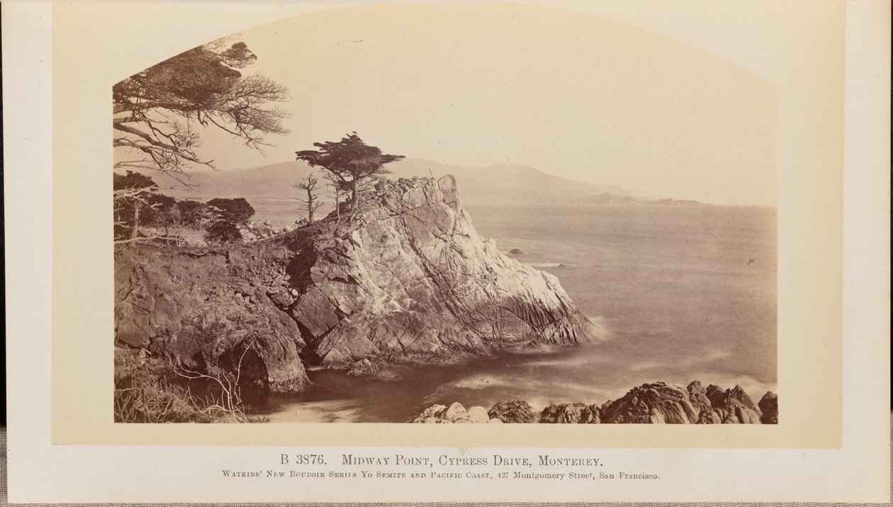 Midway Point, Cypress Drive, Monterey de Carleton Watkins