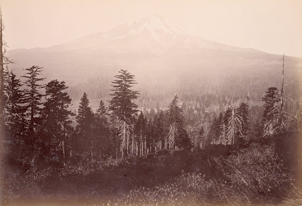 Monte Shasta de Carleton Watkins
