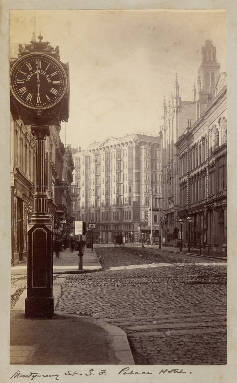 Palace Hotel, Montgomery Street, San Francisco de Carleton Watkins