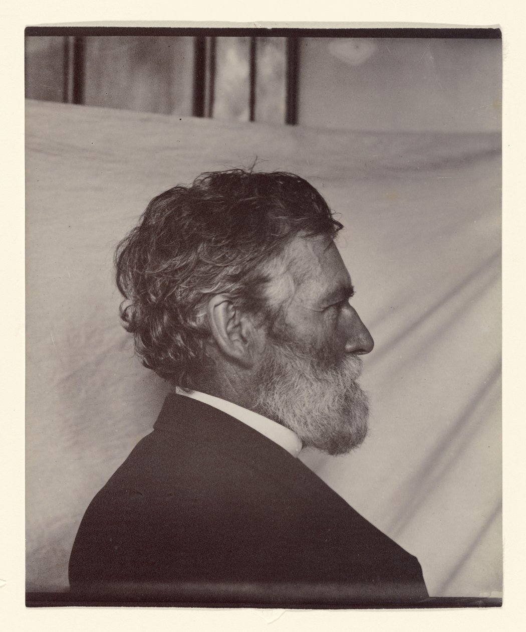 Retrato de George Davidson de Carleton Watkins