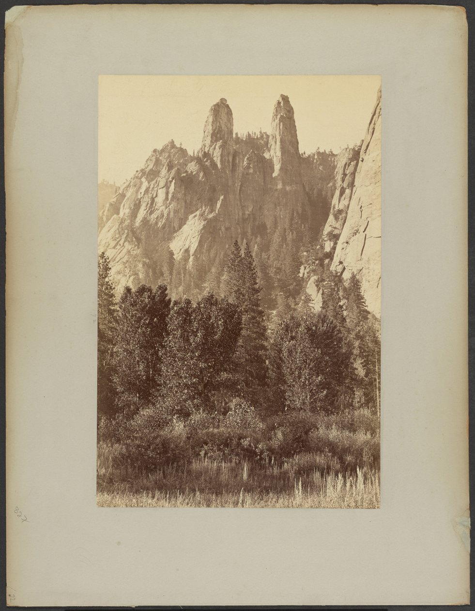[Rochedos Sentinel, Yosemite] de Carleton Watkins