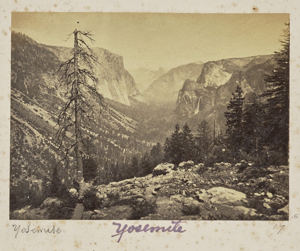 O vale de Yosemite, a partir do trilho de Mariposa, vale de Yosemite, condado de Mariposa, Califórnia (n.º 1138) de Carleton Watkins
