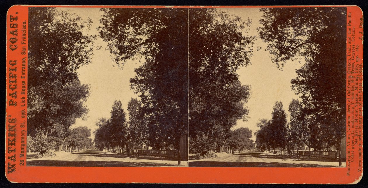 Vista da rua arborizada de San Gabriel, Califórnia de Carleton Watkins
