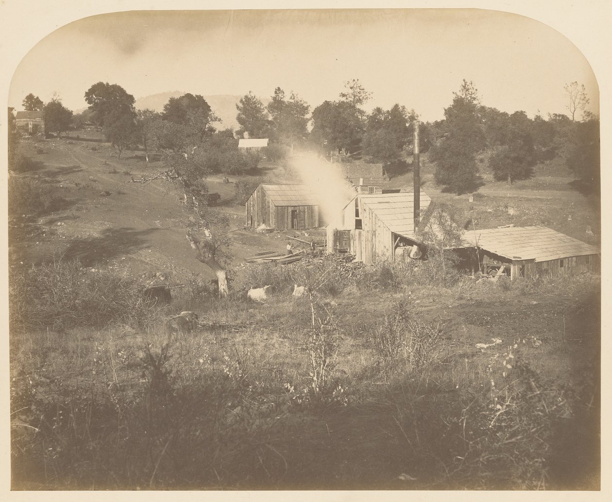 [O moinho de Turner] de Carleton Watkins