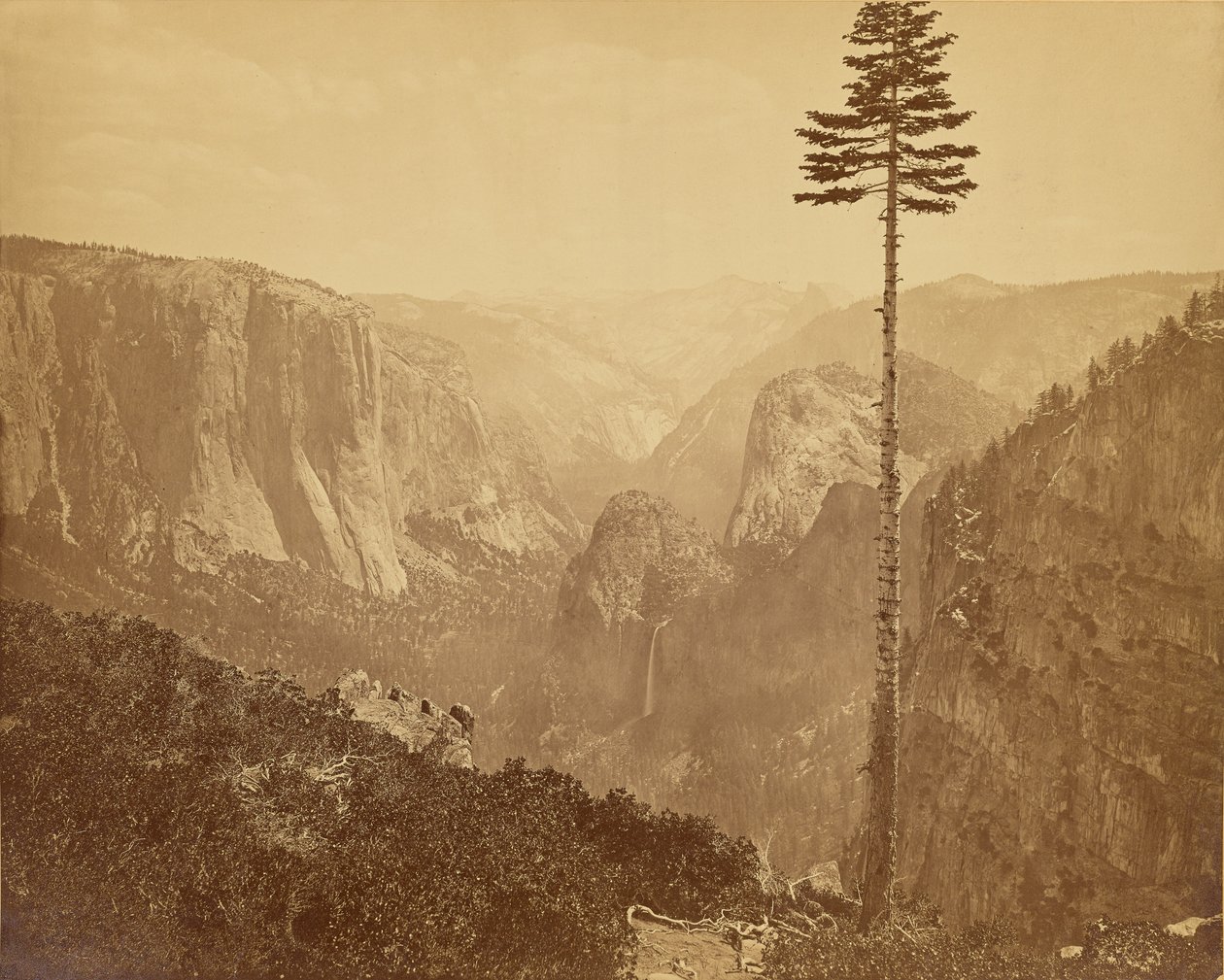 [Vale de Yosemite visto da trilha de Mariposa] de Carleton Watkins