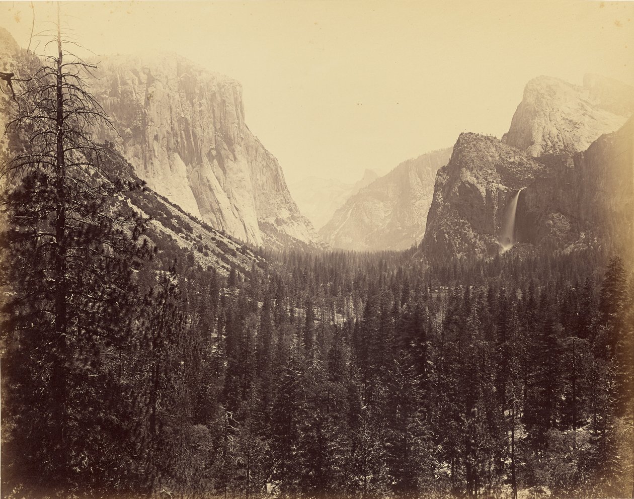 [Vale de Yosemite a partir do trilho de Mariposa] de Carleton Watkins
