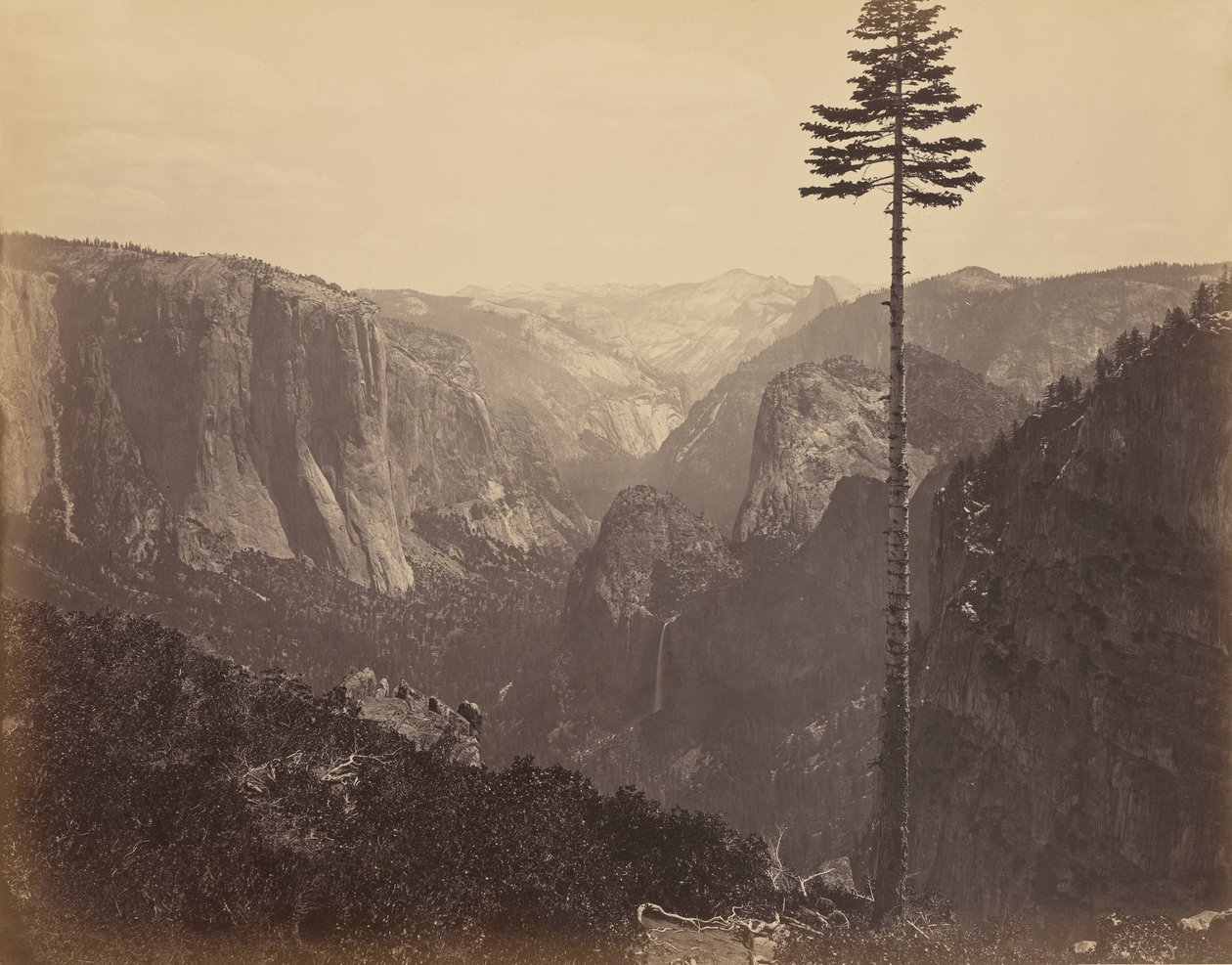 [Vale de Yosemite a partir da melhor vista geral] de Carleton Watkins