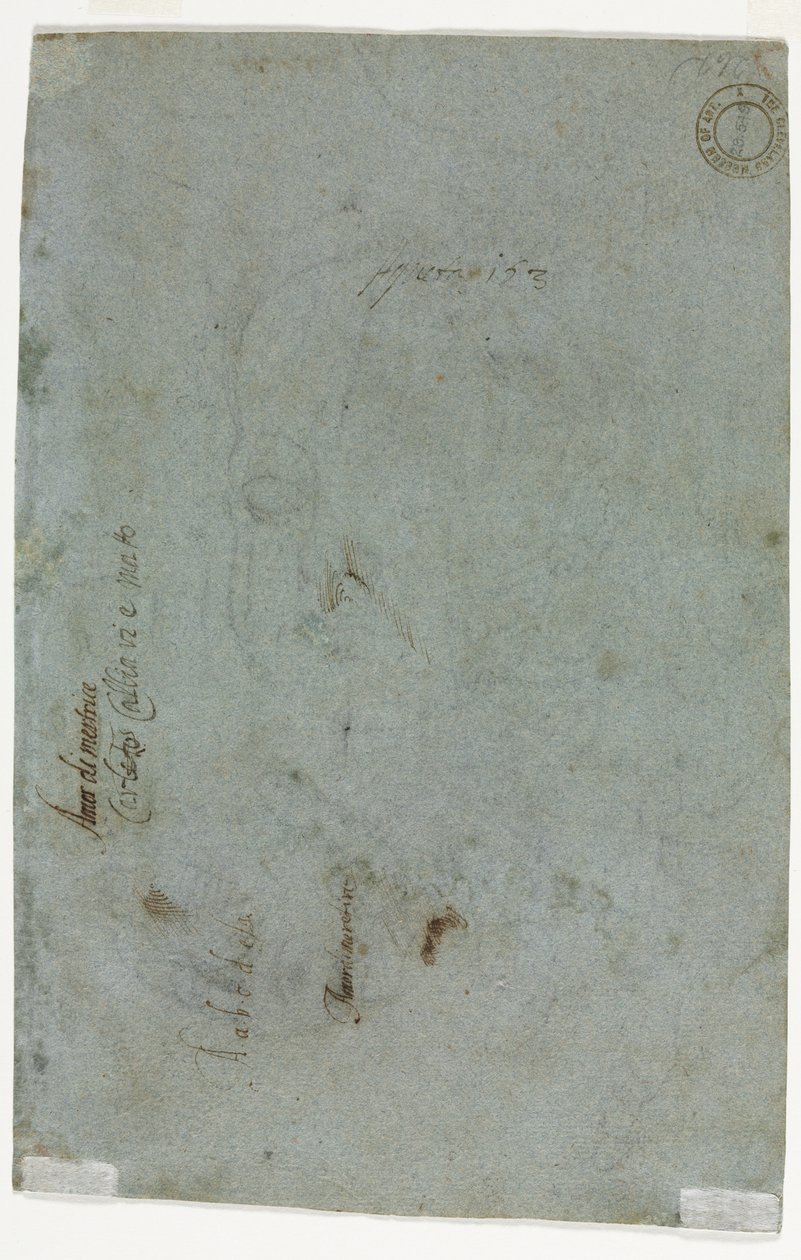 Esboço do verso da cabeça de uma criança, c. 1586. de Carletto Caliari