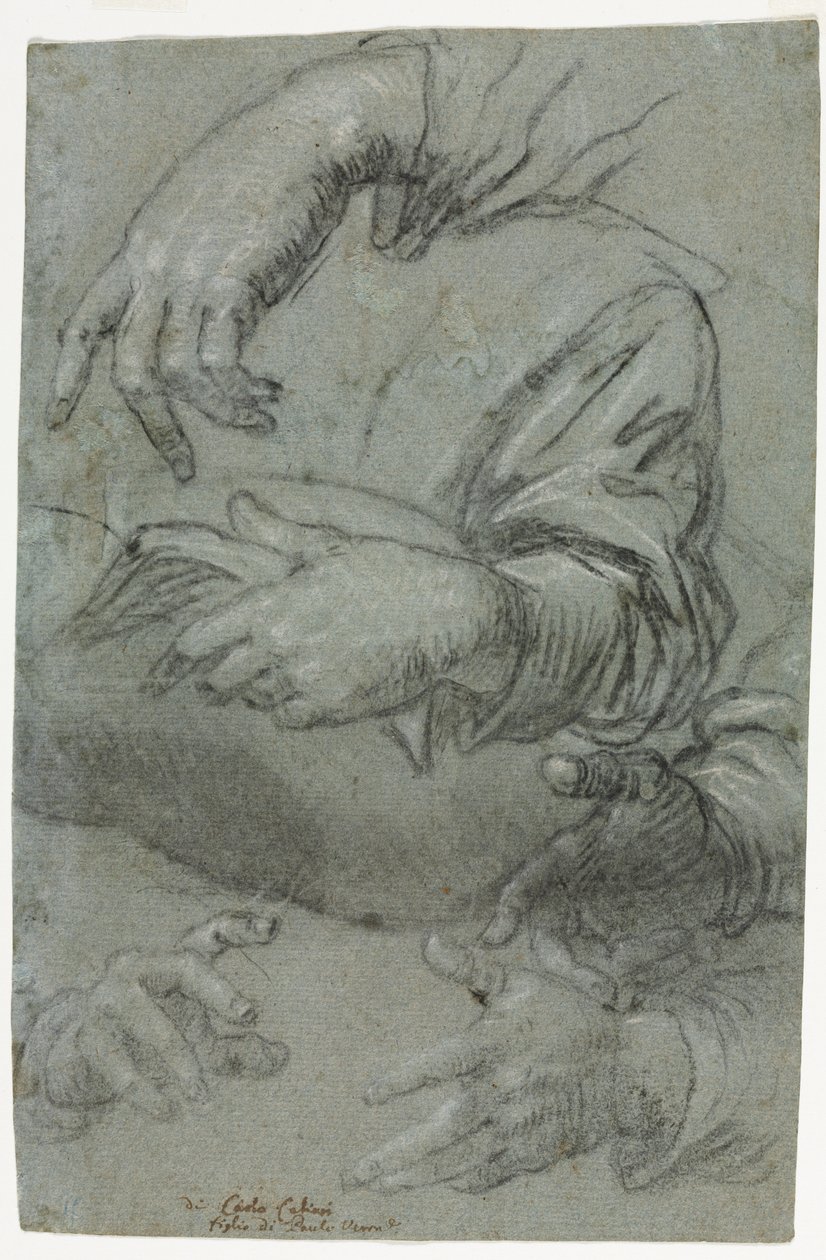 Estudos de Mãos Reto, c. 1586. de Carletto Caliari