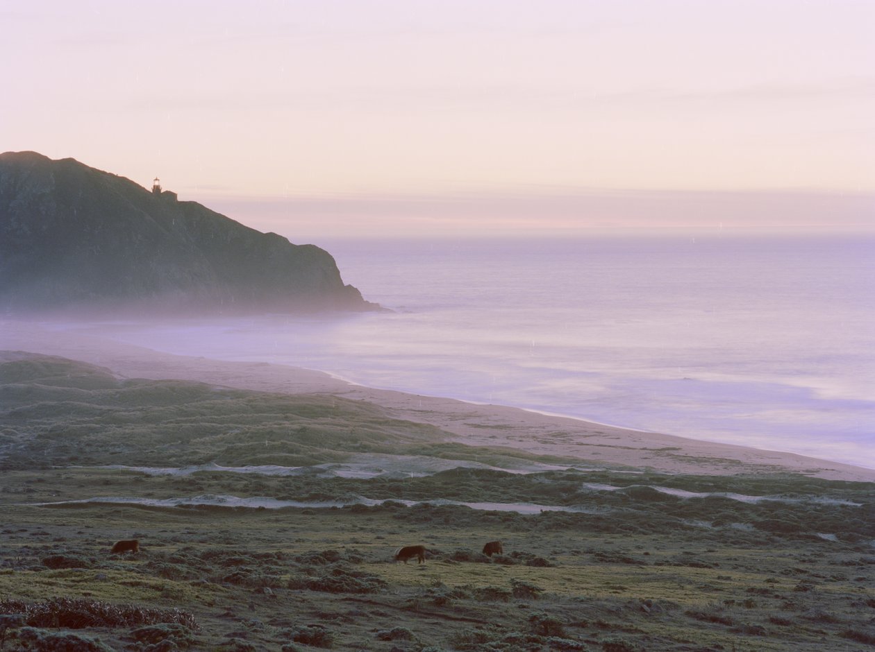 Big Sur, 2014 de Carli Choi