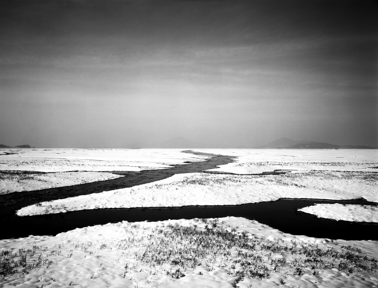 Para sempre no mar, 2012 de Carli Choi