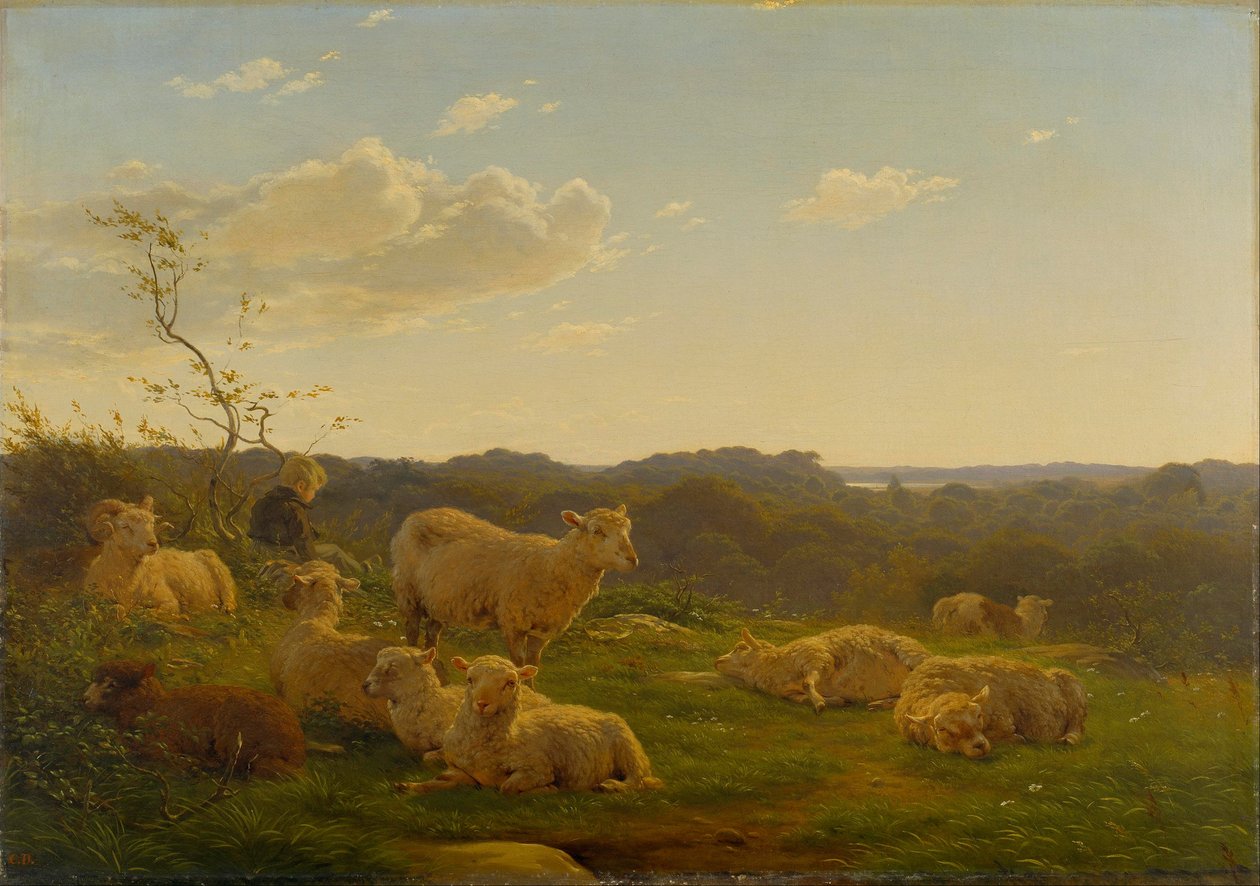 Ovelhas em uma colina perto de Skarridsø. de Carlo Dalgas