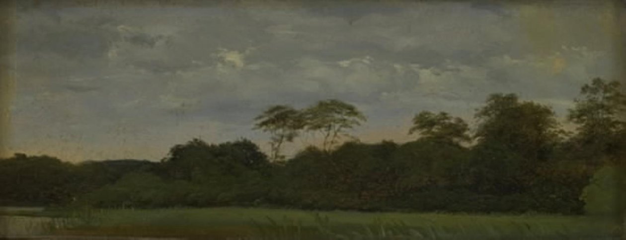 Um prado por um lago da floresta de Carlo Dalgas