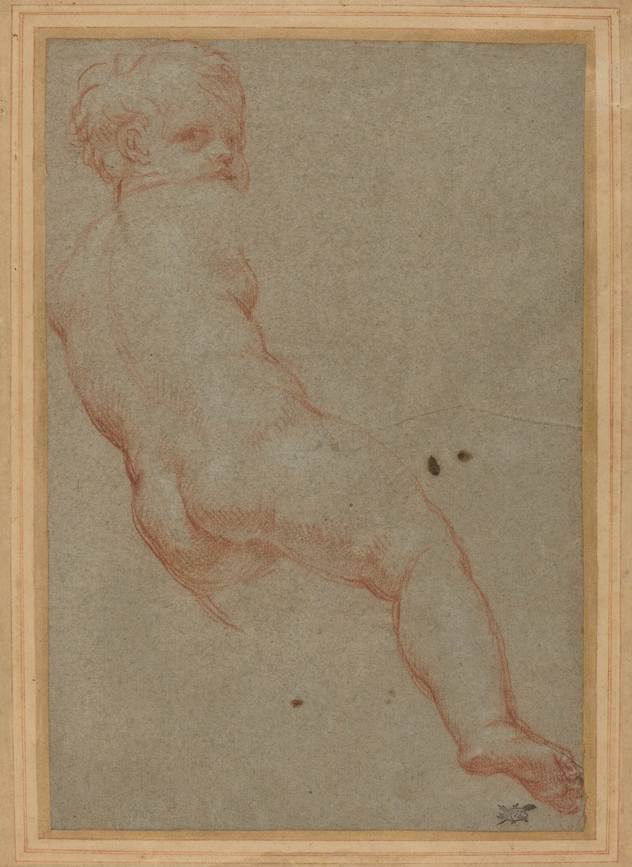 Estudo de um menino de Carlo Maratta