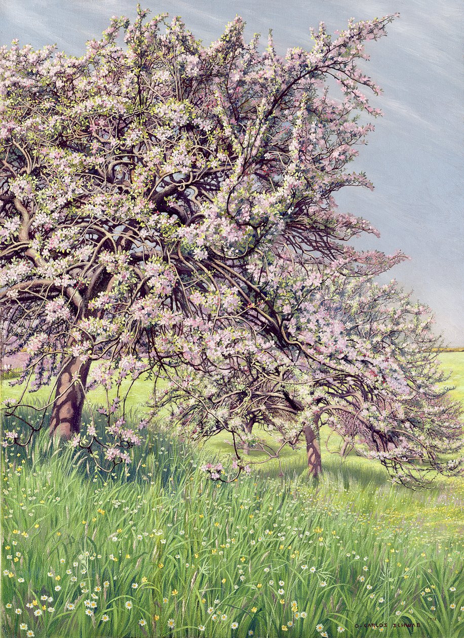 Macieiras floridas, 1912 de Carlos Schwabe