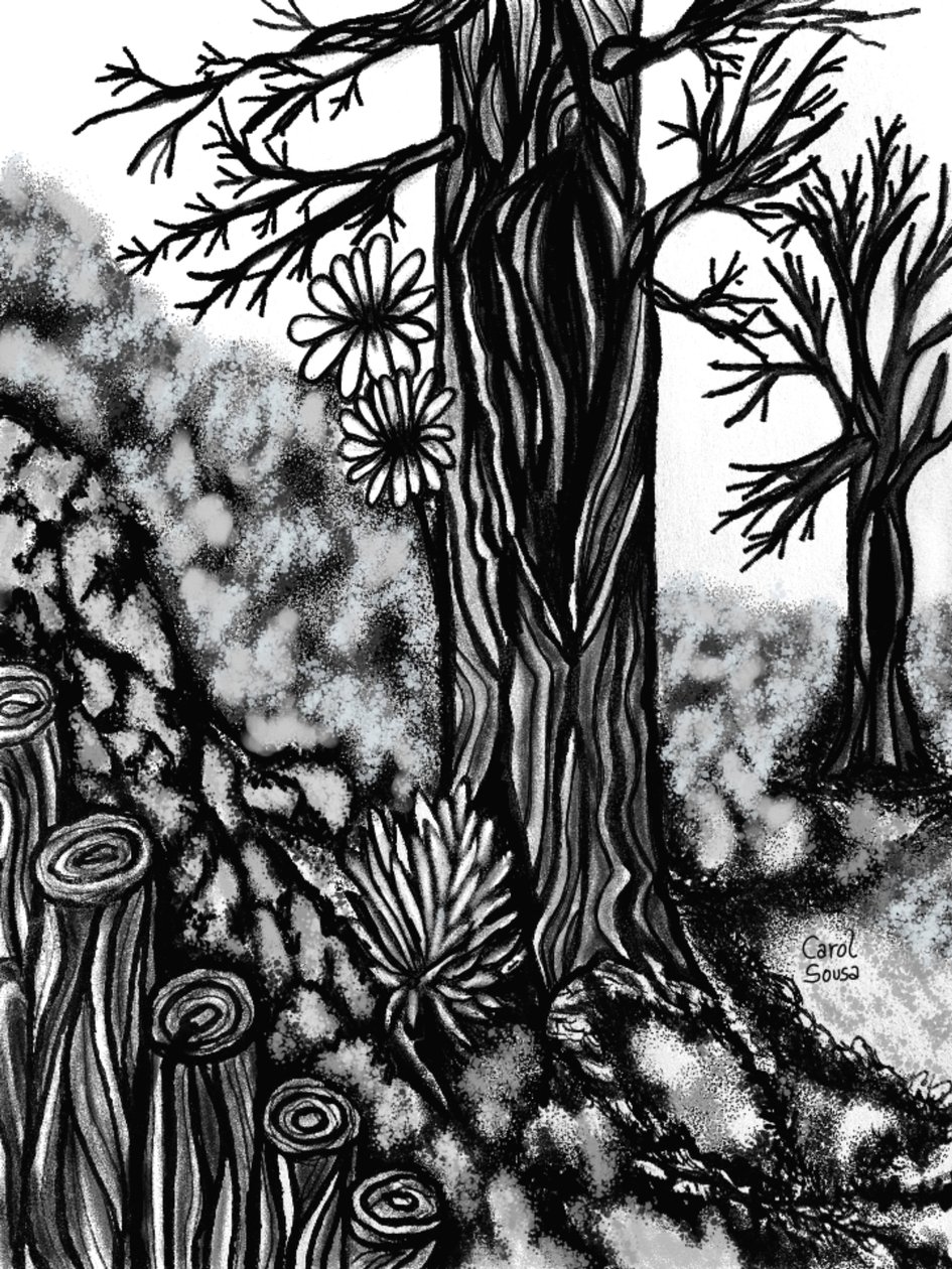 Desenho a carvão digital 1 de Carol Sousa Cuello