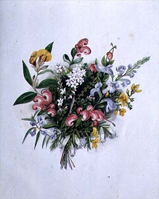 Posy de flores de verão, do século XIX de Caroline Louisa Meredith
