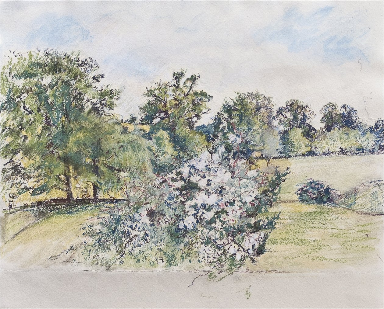 Agosto de Nossa Janela, 2007 (pastel e wc no papel) de Caroline Hervey Bathurst