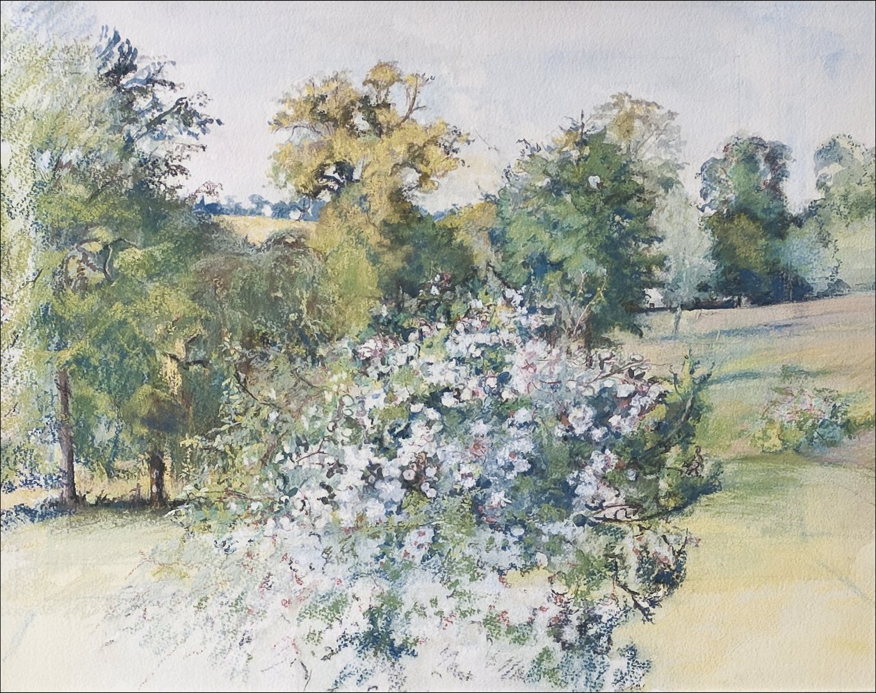 Junho de Nossa Janela, 2007 (pastel e wc no papel) de Caroline Hervey Bathurst