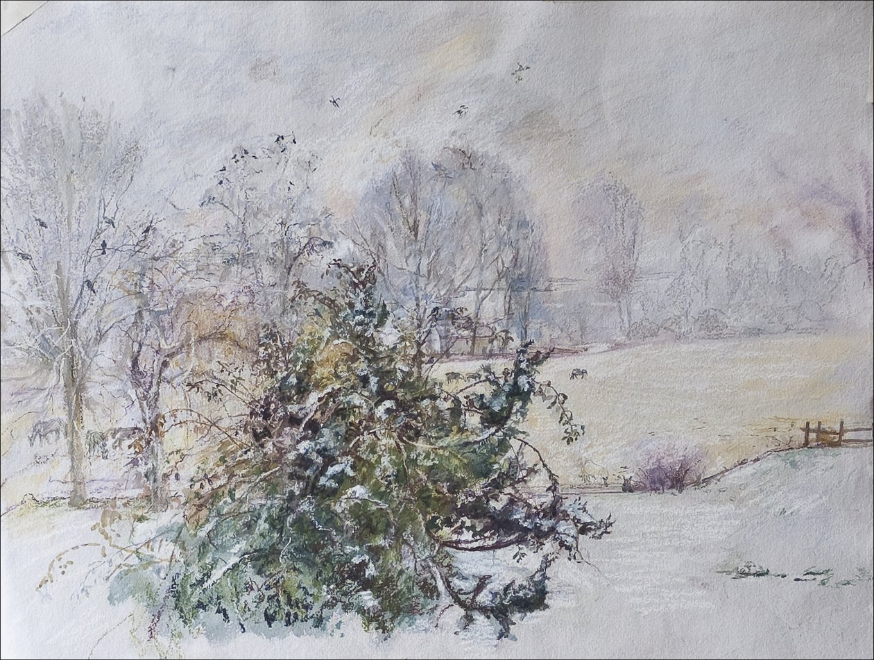 Inverno da Nossa Janela, 2009 (pastel e wc no papel) de Caroline Hervey Bathurst