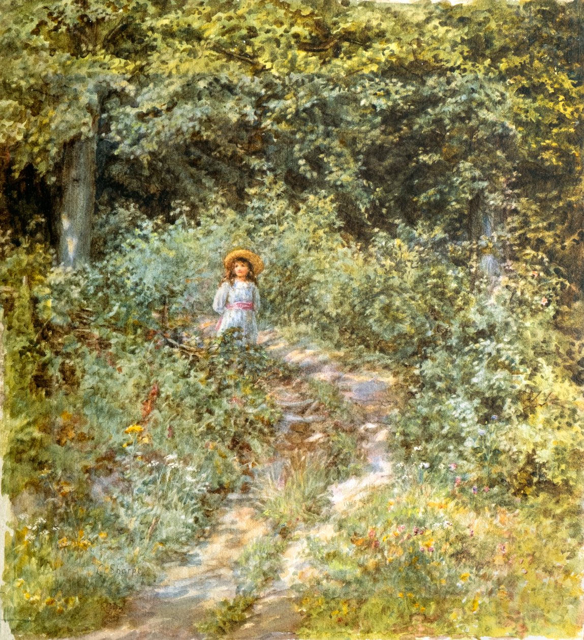 O caminho através do bosque (aguarela) de Caroline Paterson
