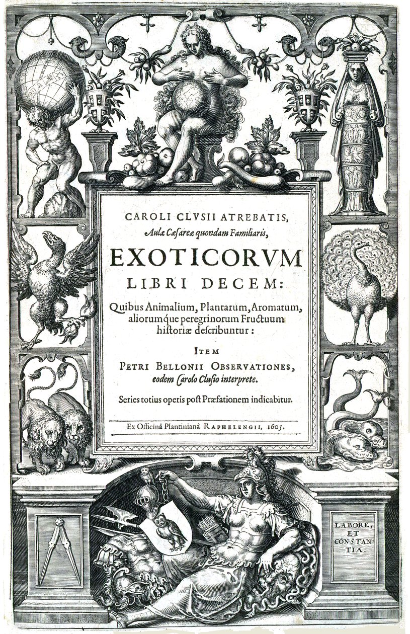 livro Exoticorum de Carolus Clusius
