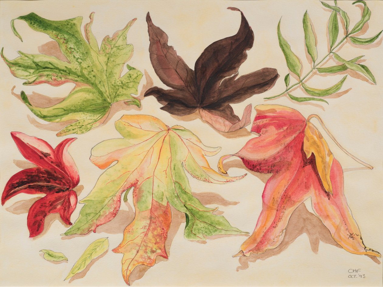 Autumn Leaves, 1993 (wc no papel) de Carolyn Hubbard Ford
