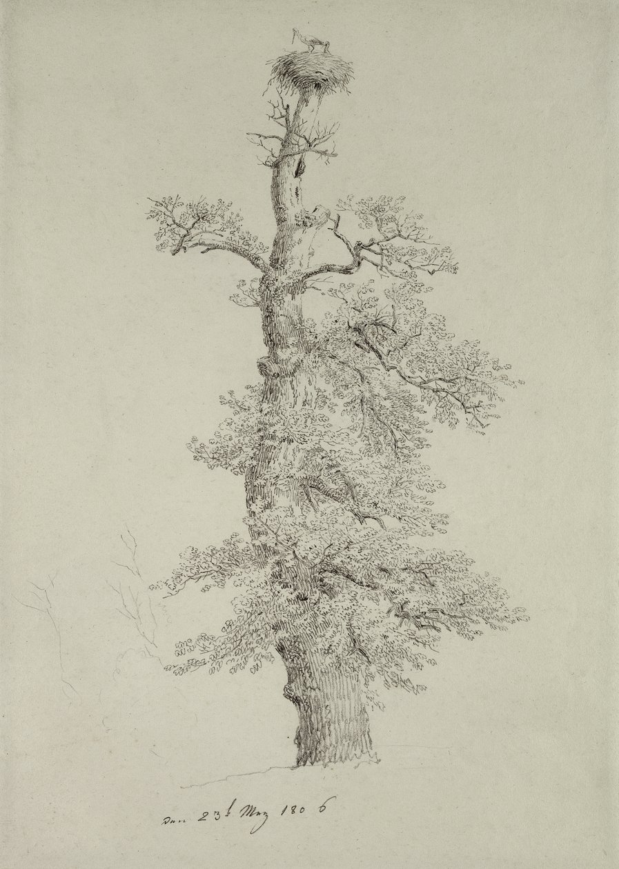 Carvalho antigo com um ninho de cegonha, 23 de maio de 1806 de Caspar David Friedrich