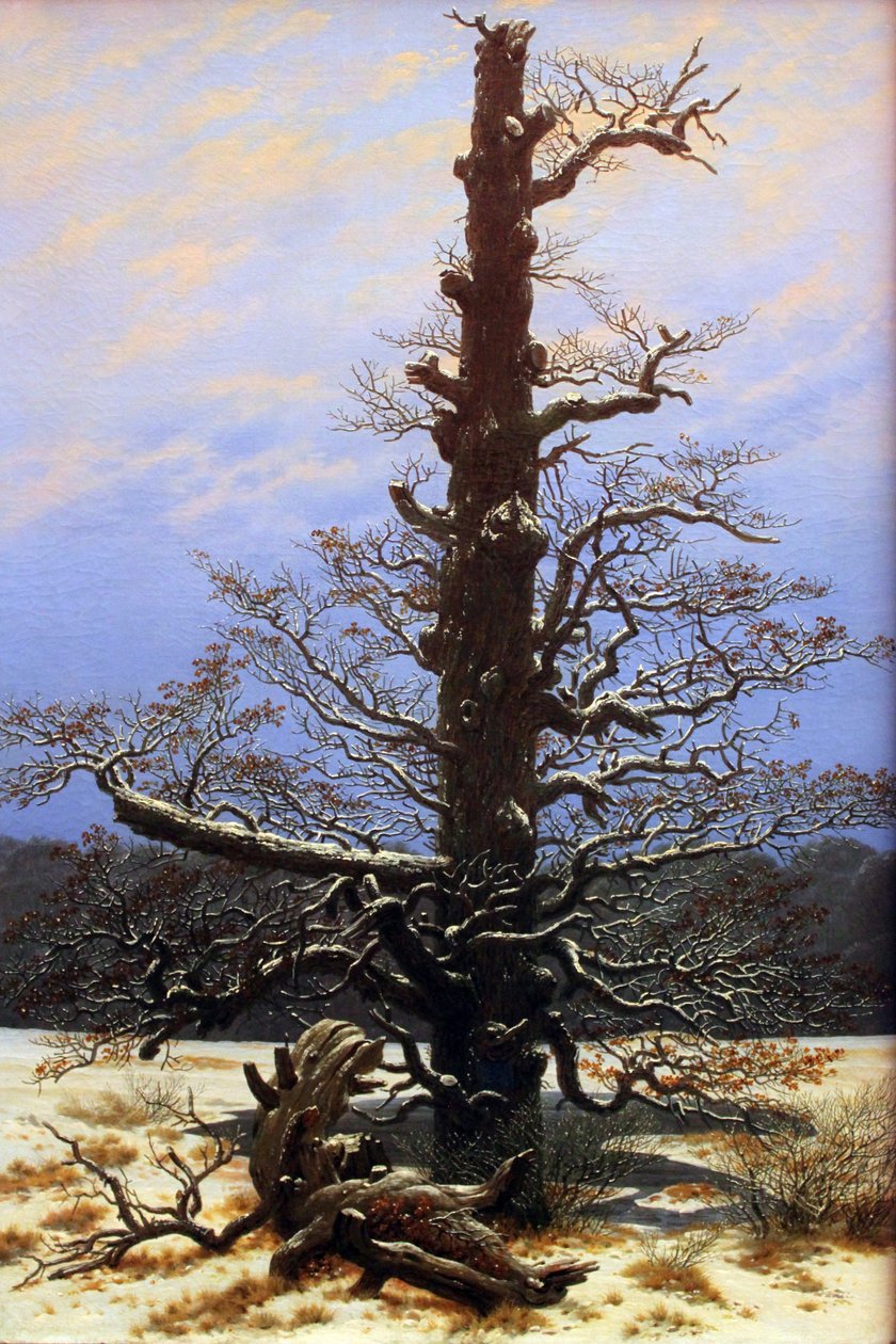 Carvalho na neve de Caspar David Friedrich