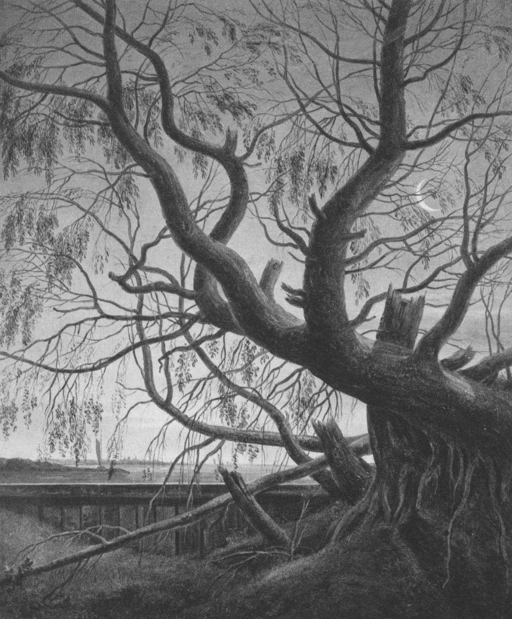 Salgueiro ao luar de Caspar David Friedrich