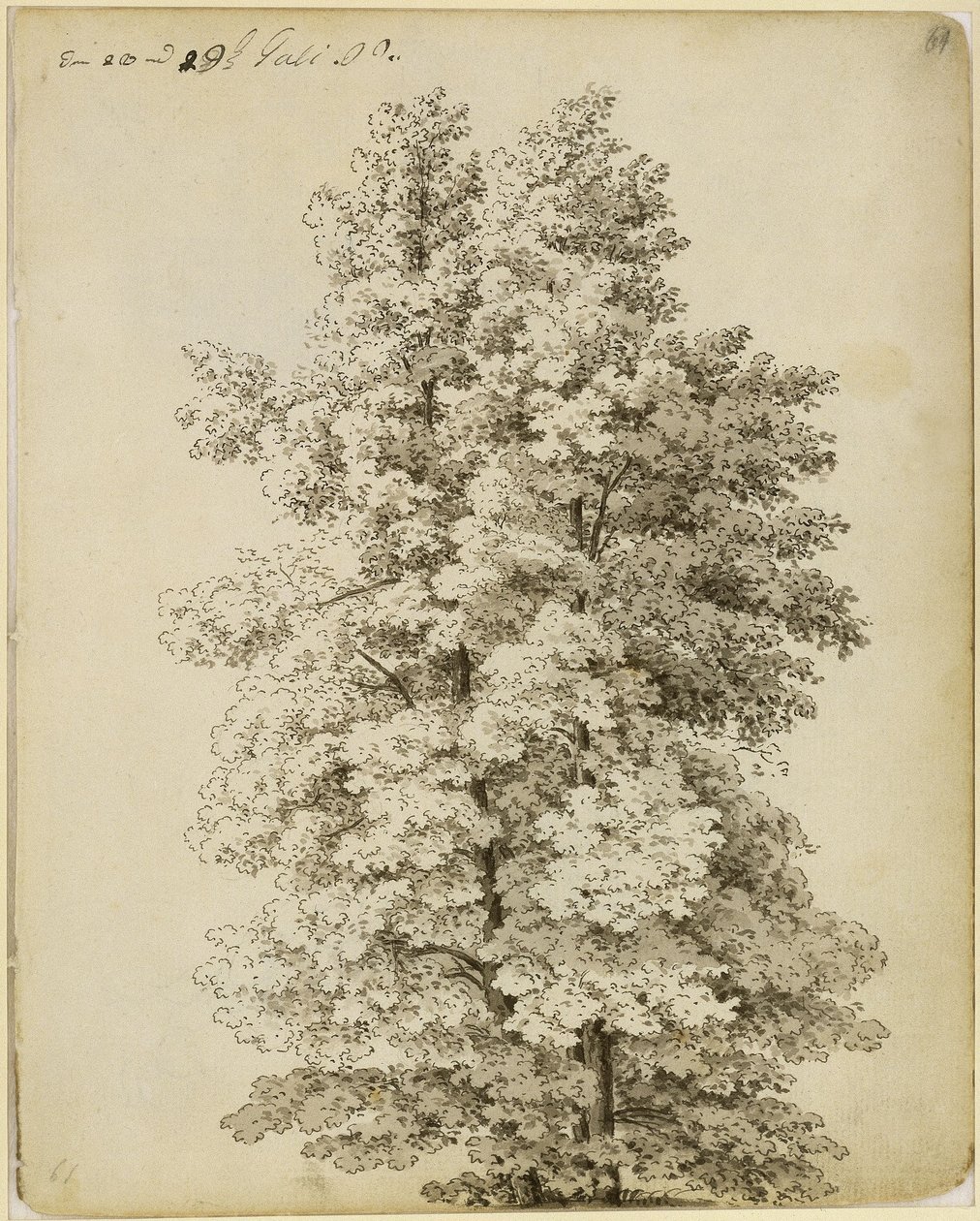 Grupo de árvores de Caspar David Friedrich