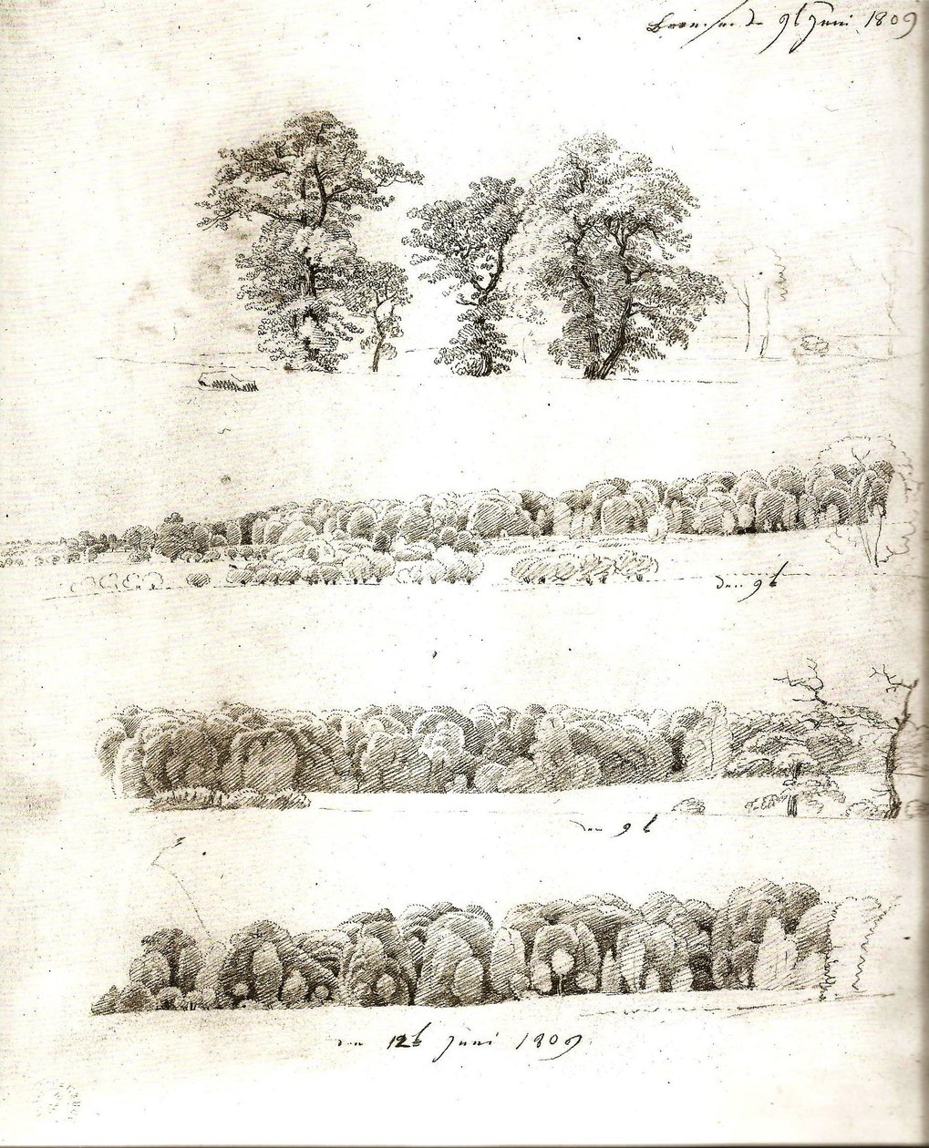 Estudos de árvores 1809 de Caspar David Friedrich