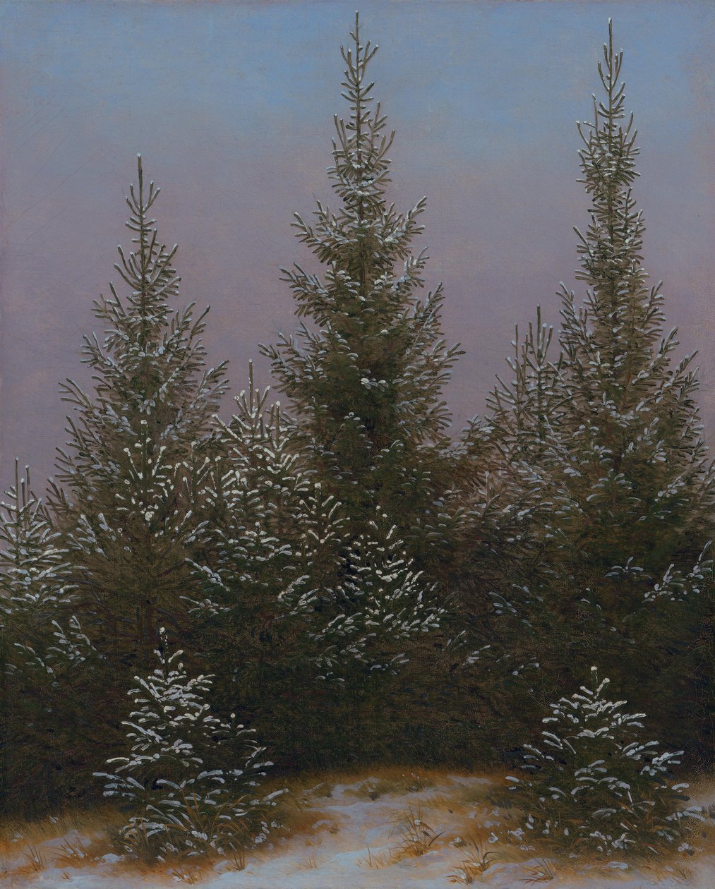 Bosque denso de abetos na neve (Da Charneca de Dresden I) de Caspar David Friedrich