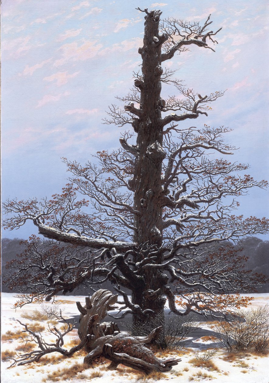 Alemão: Eichbaum im Schnee O carvalho na neve de Caspar David Friedrich