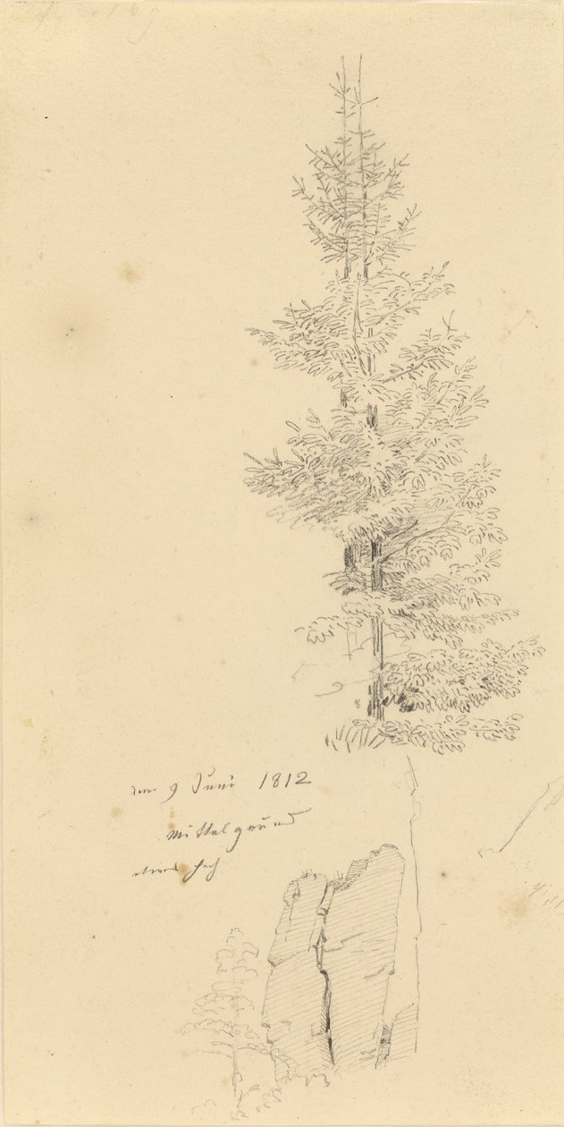 Alemão: Studie mit Fichten und Felsen Estudo de abetos e uma rocha de Caspar David Friedrich