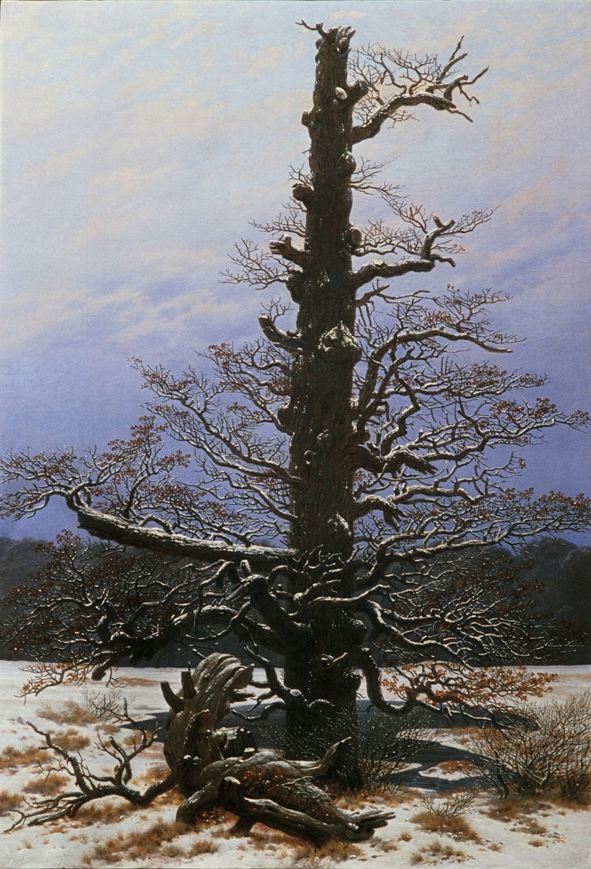 Carvalho na neve de Caspar David Friedrich