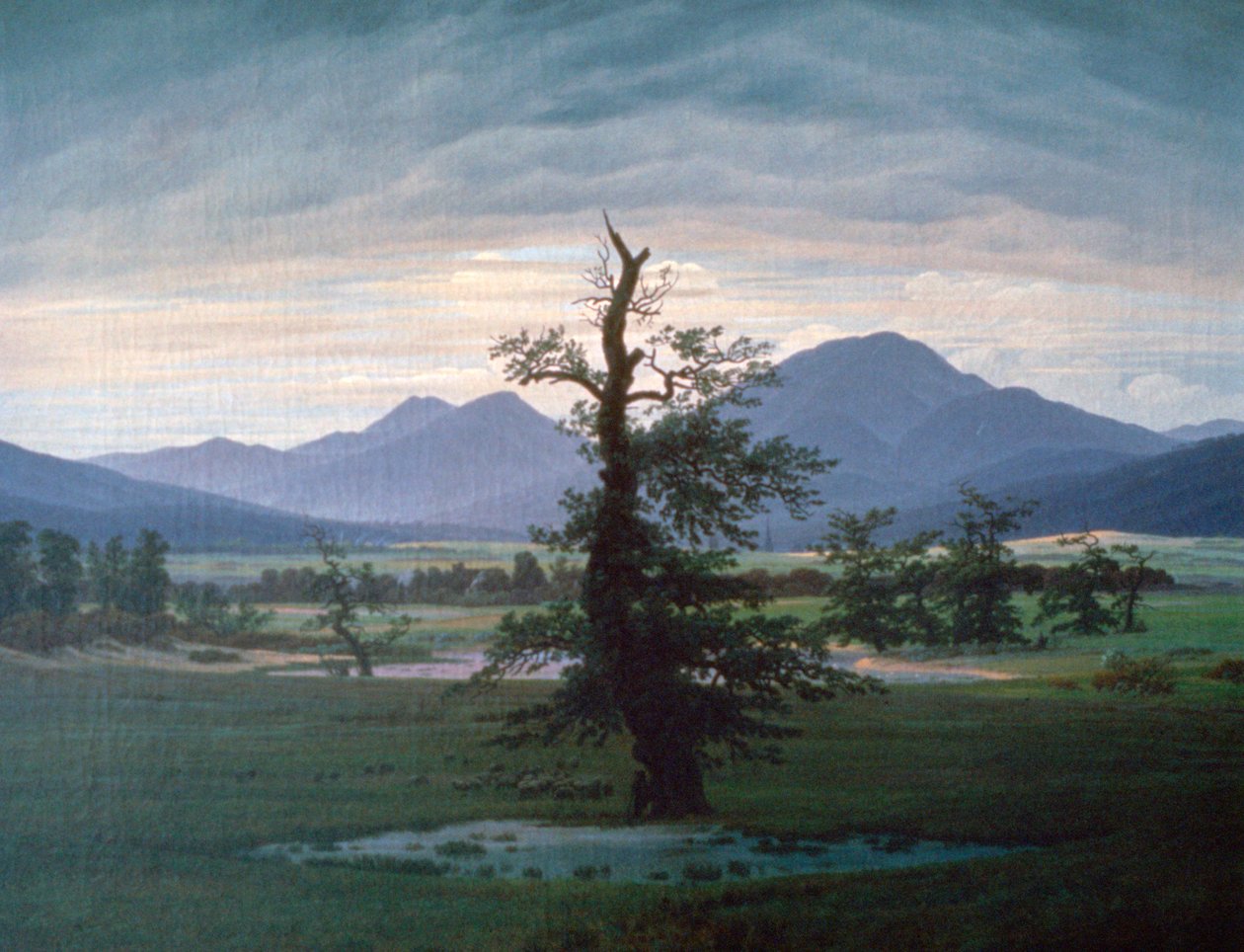 A árvore solitária, 1823 de Caspar David Friedrich