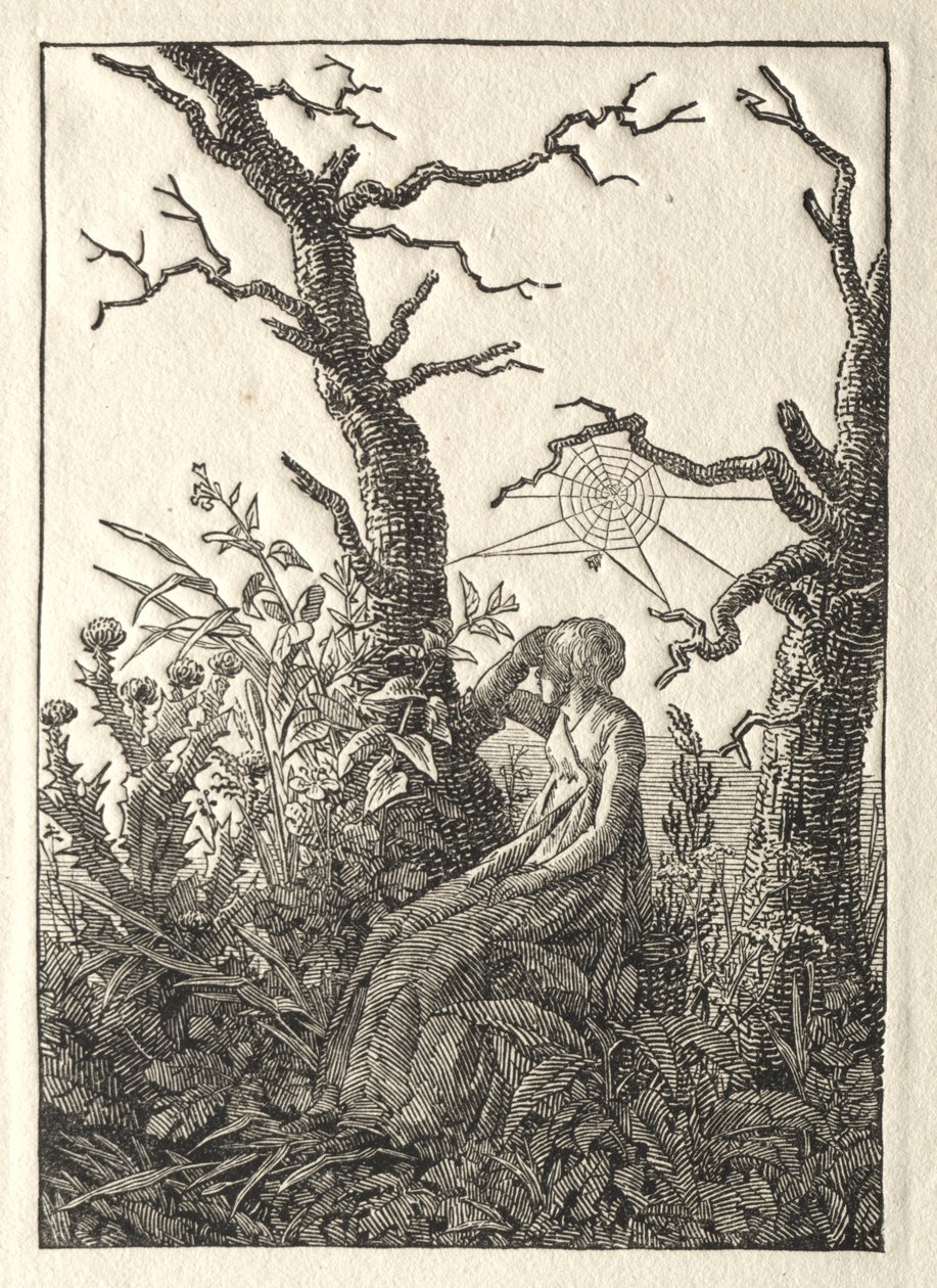 A mulher com a teia de aranha entre árvores nuas, 1803. de Caspar David Friedrich